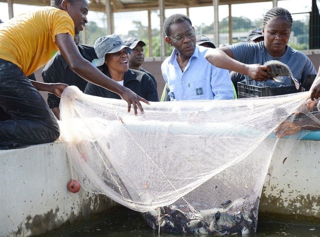 Fomentando la agricultura y la pesca