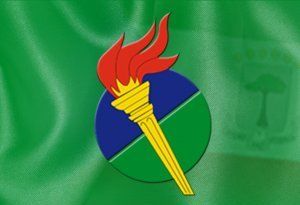 Resoluciones de nombramiento para la Junta Ejecutiva Nacional del PDGE