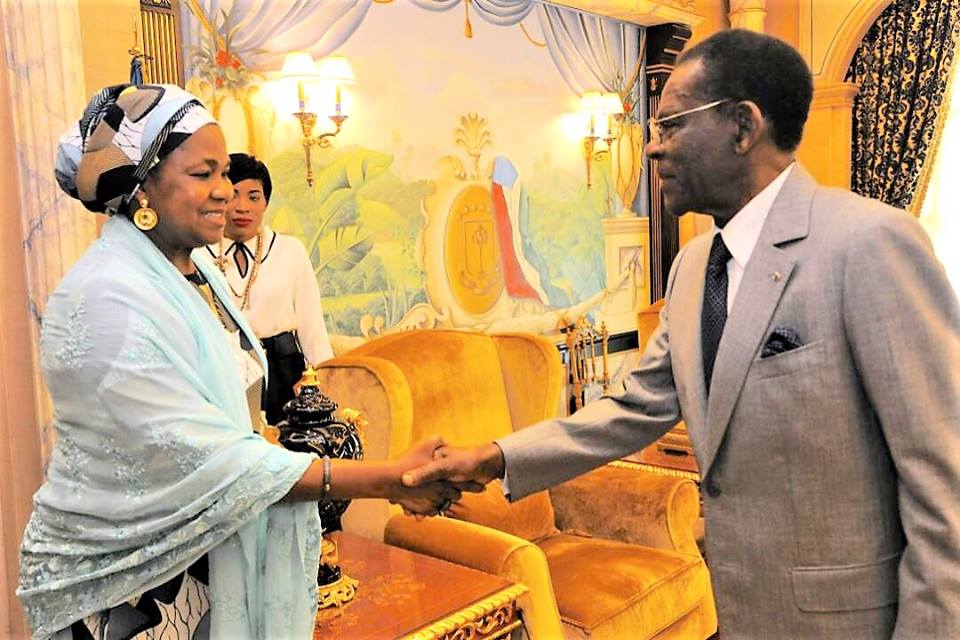 Dos delegaciones de África visitan al Presidente