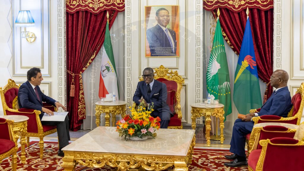 El Vicepresidente recibe al Embajador de Egipto