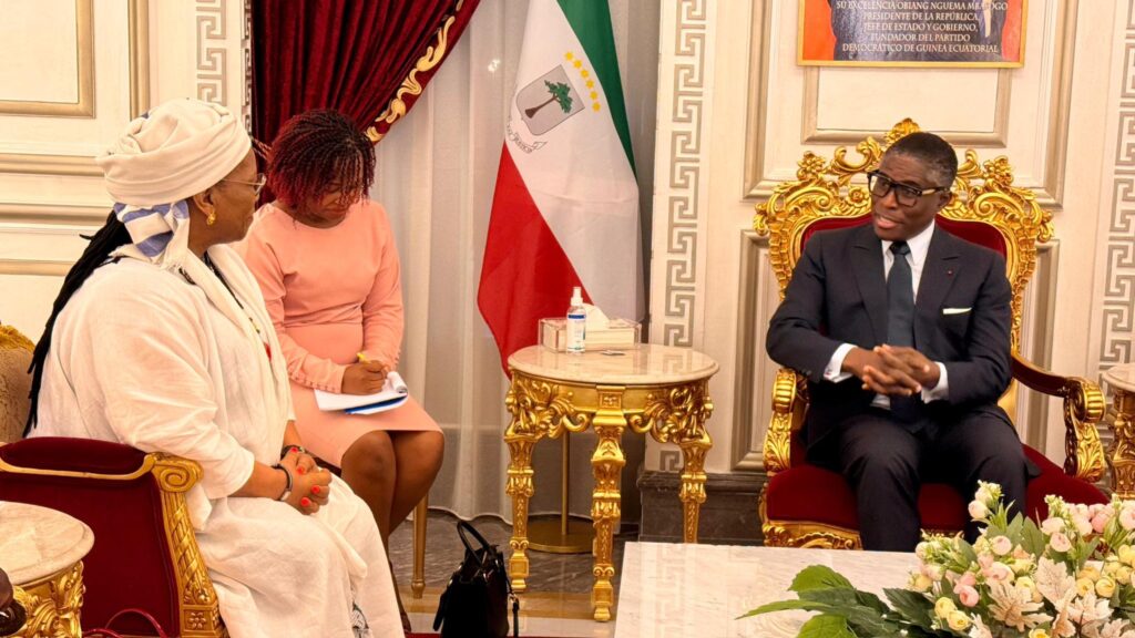 Audiencias del Vicepresidente con los Embajadores de Sudáfrica y Guinea Conakry