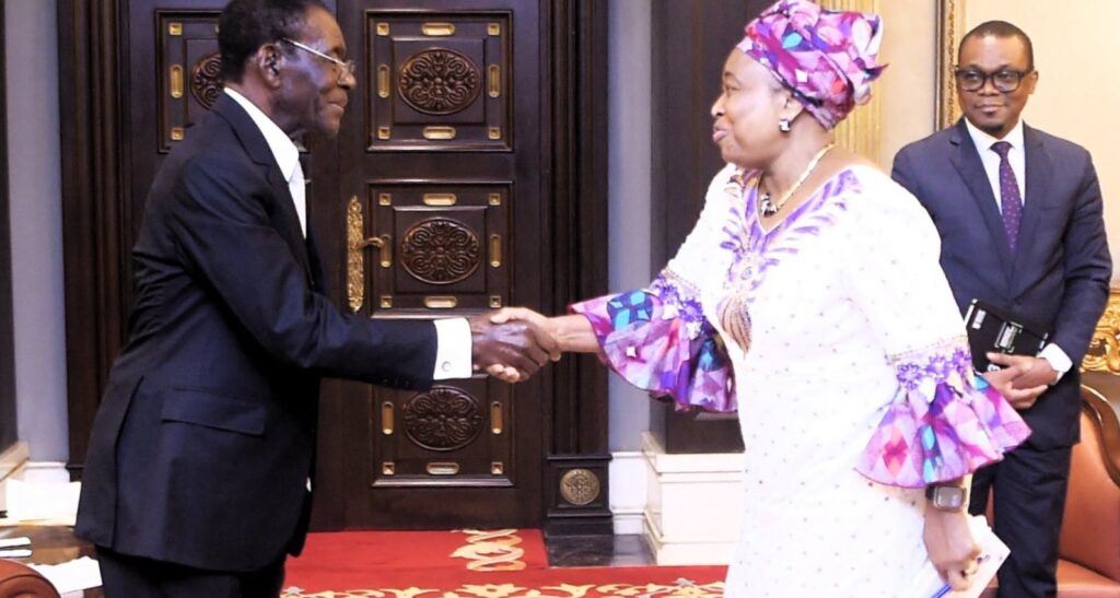 El Presidente recibe a una delegación africana para abordar la lucha contra el Paludismo El Presidente recibe a una delegación africana para abordar la lucha contra el Paludismo